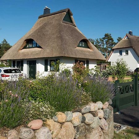 Ferienhaus Seeadler 9 Fuhlendorf  Екстер'єр фото